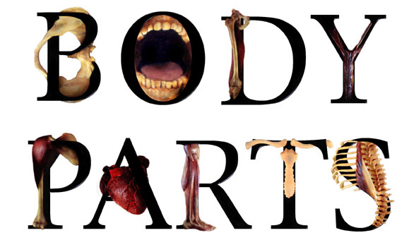 Body Parts